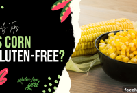Is Corn Gluten-Free? What You Need to Know Before Eating Corn