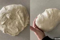 Sourdough Hydration Explained: A Beginner’s Guide to Ratios