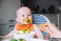 Top-Rated Baby Food Pouches for 2026: 50 Picks Reviewed