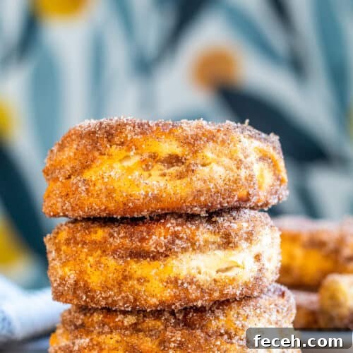 Cinnamon Sugar donuts in stack with blue floral background.