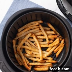 Healthy Air Fryer Frozen French Fries Recipe @BestRecipeBox