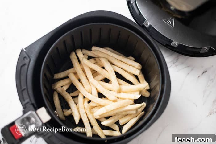 Air Fryer Frozen French Fries Healthy and Easy! @BestRecipebox