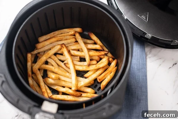 air fryer frozen fries crisped in basket