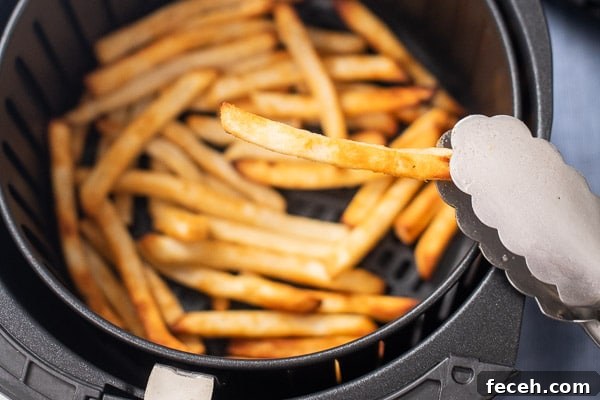 air fryer frozen fries holding