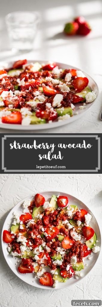 Strawberry and Avocado Salad with Honey-Lime Dressing 5 Sweet summery strawberries play against the tangy, metallic feta and the creamy avocado to make a delicious salad that’s ripe for any summer picnic or lunch table. Dressed with a rich strawberry and balsamic dressing, this vegetarian strawberry avocado salad is a beautifully fresh, easy to make dish that’s a perfect starter, side dish or salad.