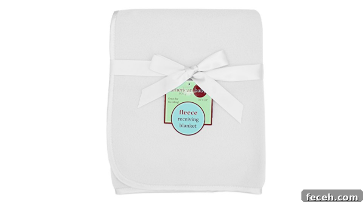 cricut with freezer paper baby blanket