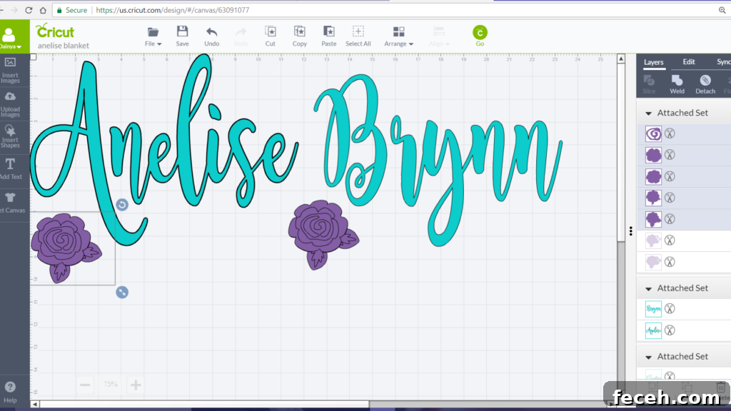 Cricut with Freezer Paper Baby Blanket