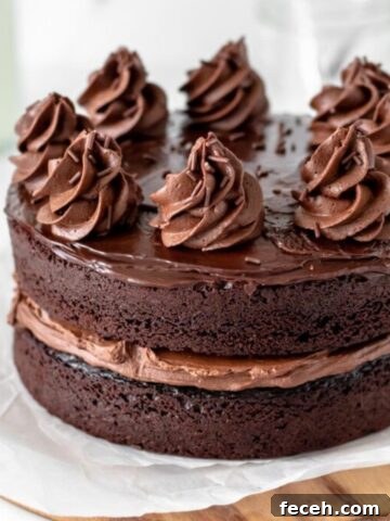 Chocolate Ganache Cake