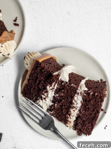 Chocolate Tahini Cake