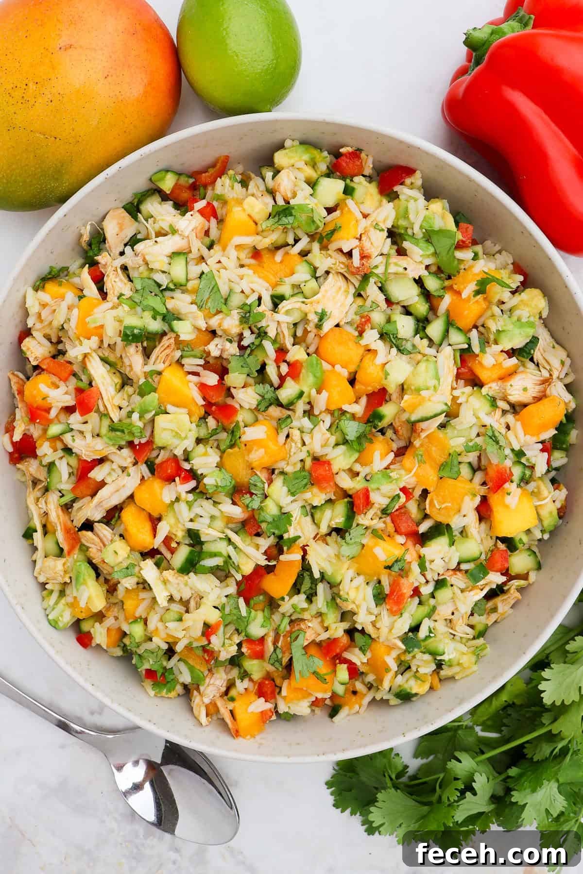 Chicken and mango salad served in a large bowl.