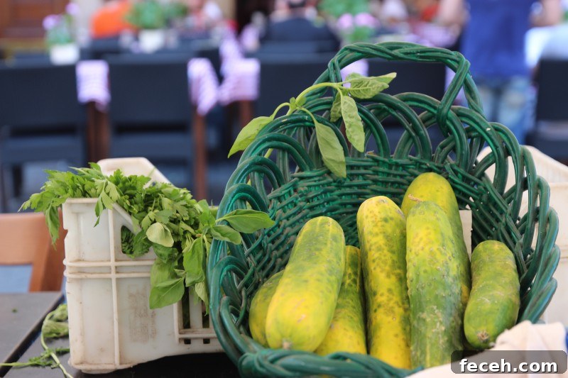 Discover Rome: Top Sights and Hidden Gems in the Eternal City 11 Cucumbers
