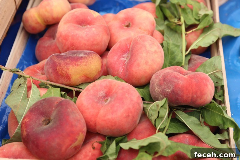 Discover Rome: Top Sights and Hidden Gems in the Eternal City 12 Peaches