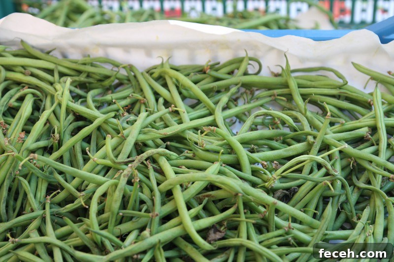 Discover Rome: Top Sights and Hidden Gems in the Eternal City 13 Green beans