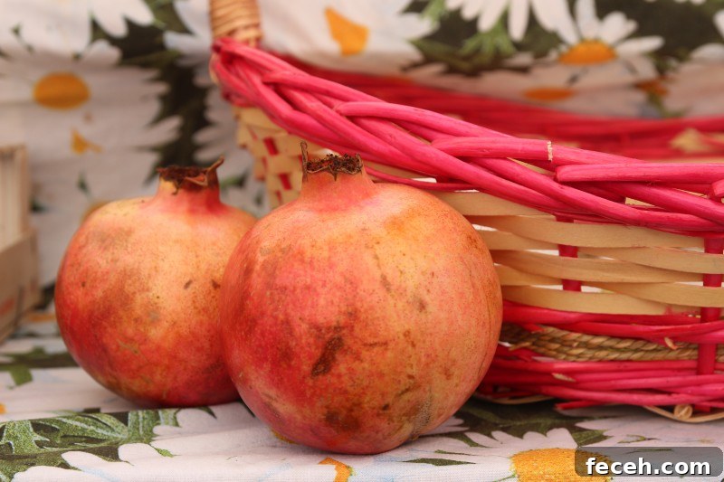 Discover Rome: Top Sights and Hidden Gems in the Eternal City 14 Pomegranates