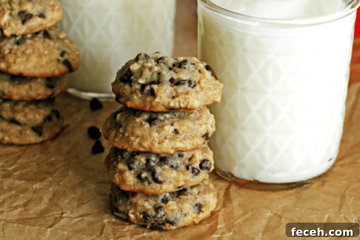 Oatmeal Chocolate Chip Cookies