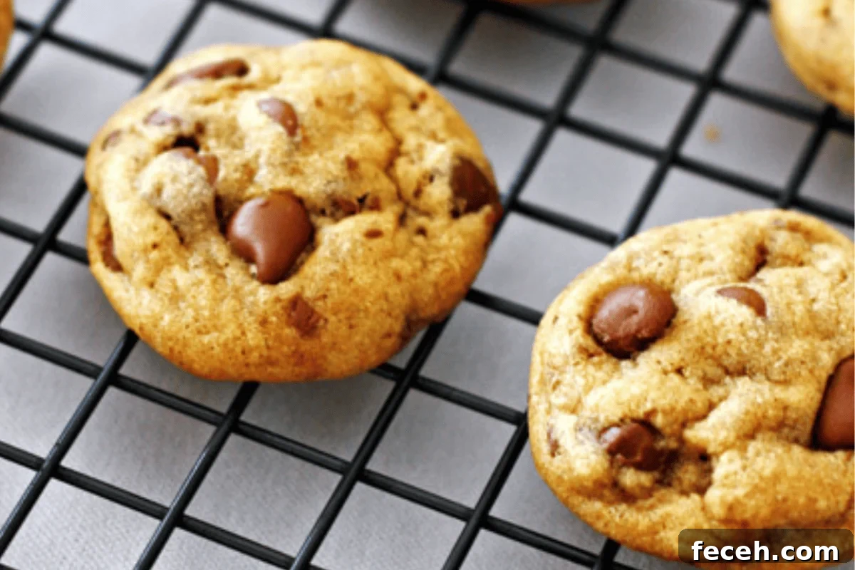 Chocolate Chip Cookies