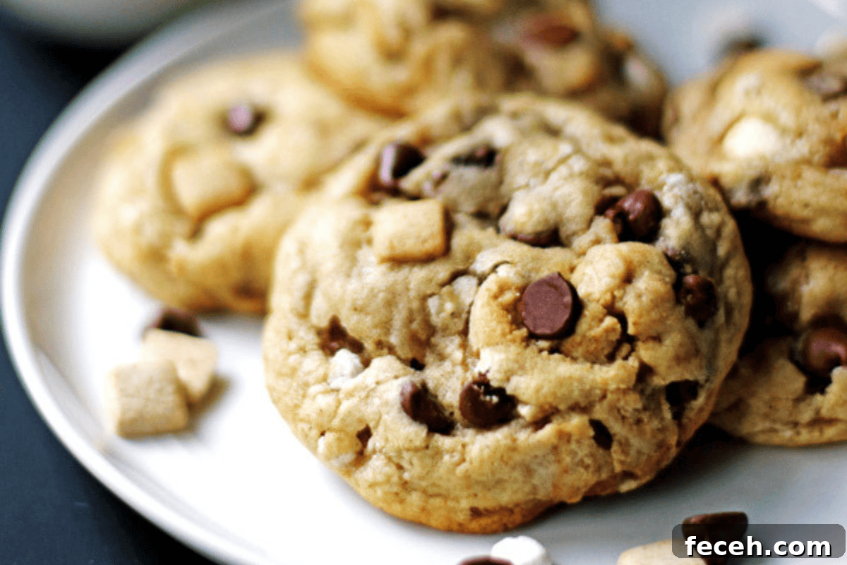 S’mores Cookies
