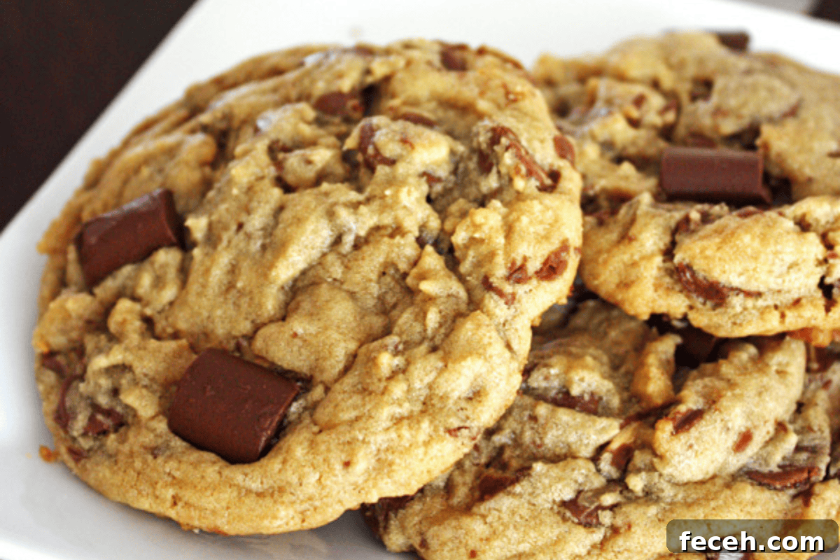 Peanut Butter Chocolate Chunk Cookies