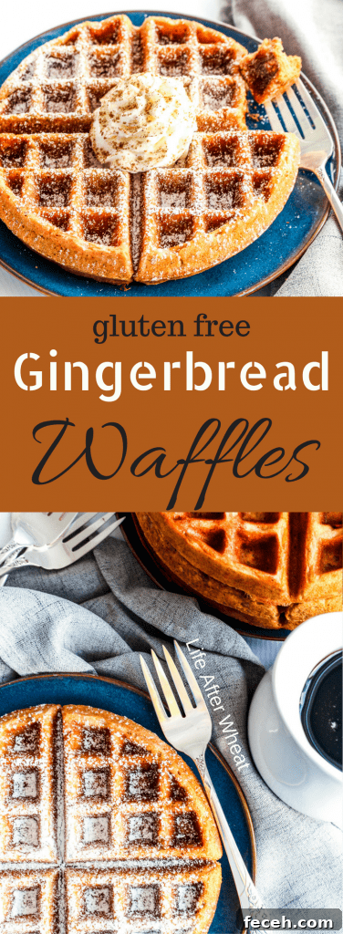Gluten Free Gingerbread Waffles are packed with perfectly spiced gingerbread flavor and feature a delicate, tender texture.