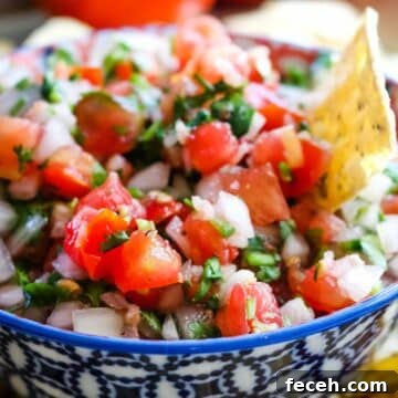 bowl full of tomato salsa with tortilla chip