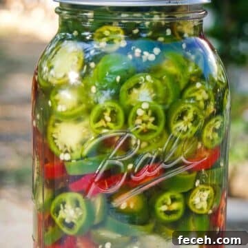 fermented jalapeno slices in mason jar