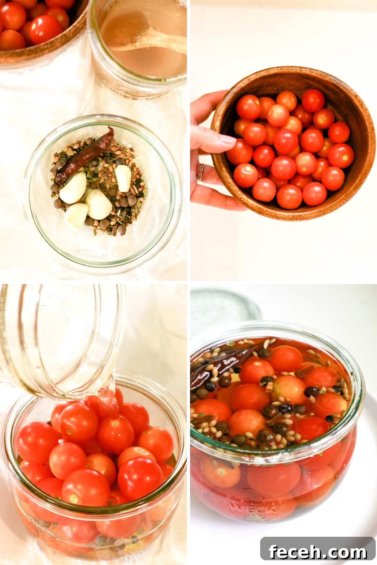 collage of 4 photos: seasonings in jar, fresh tomatoes, brine poured over tomatoes, pickled tomatoes in a jar.
