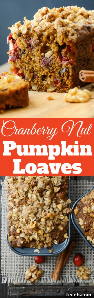 Cranberry, Nut & Pumpkin Quick Loaves: Fall Breakfast Recipe 13 Looking for an easy pumpkin bread with a twist? This simple recipe for Cranberry Nut Pumpkin Loaves has cranberries, nuts and a streusel topping!