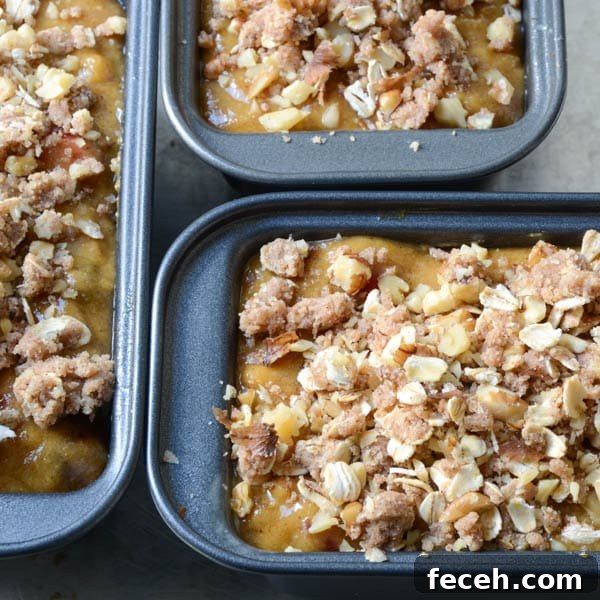 Cranberry, Nut & Pumpkin Quick Loaves: Fall Breakfast Recipe 8 Cranberry Nut Pumpkin Loaves in baking pans