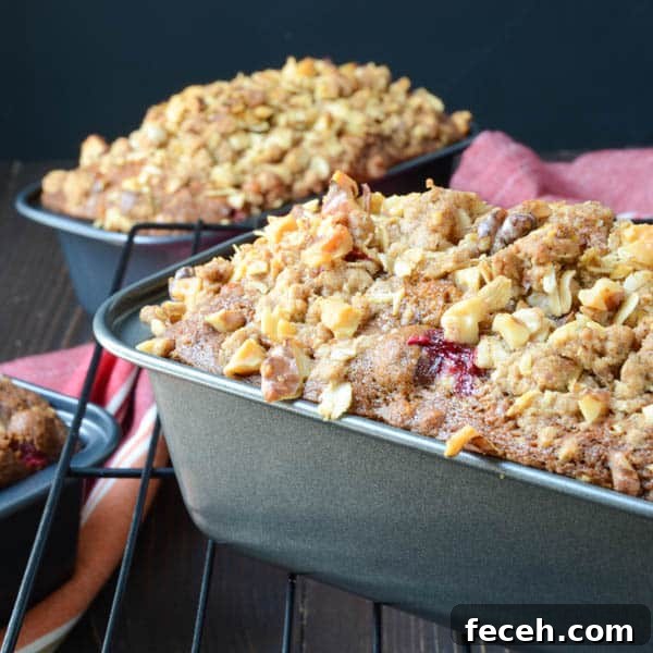Cranberry, Nut & Pumpkin Quick Loaves: Fall Breakfast Recipe 10 Cranberry Nut Pumpkin Loaves on cooling rack