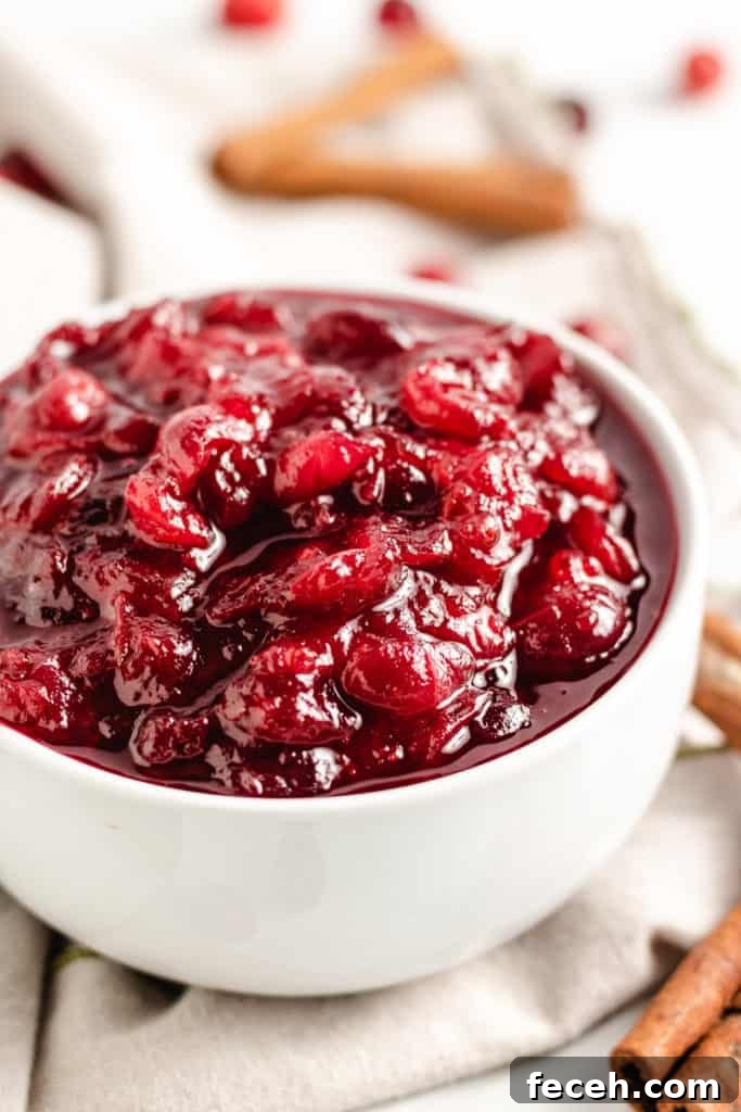 Close up view of homemade cranberry sauce in a white bowl.