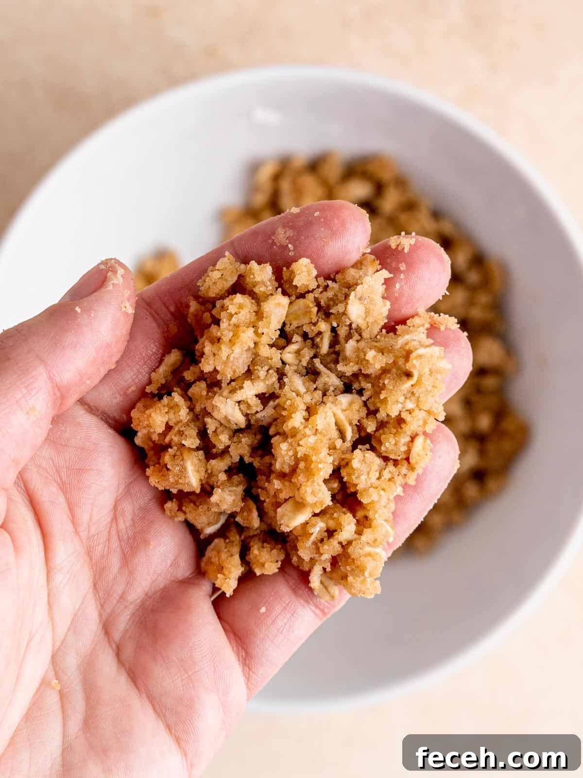 A hand holding a crumbly mixture of brown sugar, flour, melted butter, oats, cinnamon and salt.