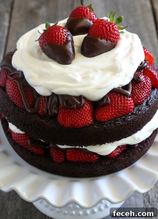 Gluten-free Chocolate Strawberry Layer Cake Dessert