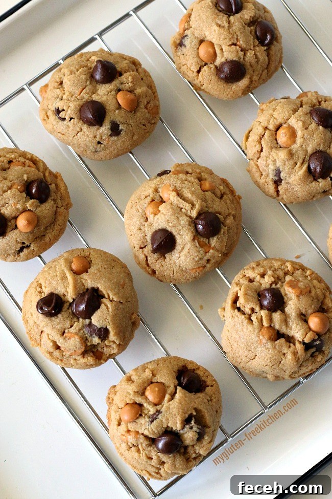 Gluten-free Peanut Butter Butterscotch Chocolate Chip Cookies on cooling rack