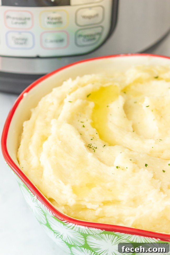 Instant Pot Dairy Free Mashed Potatoes (gluten-free)