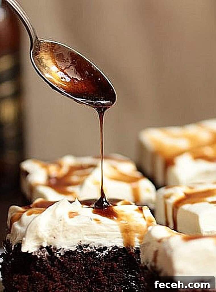 Guinness berr syrup dripping from a spoon onto chocolate cream cake squares.