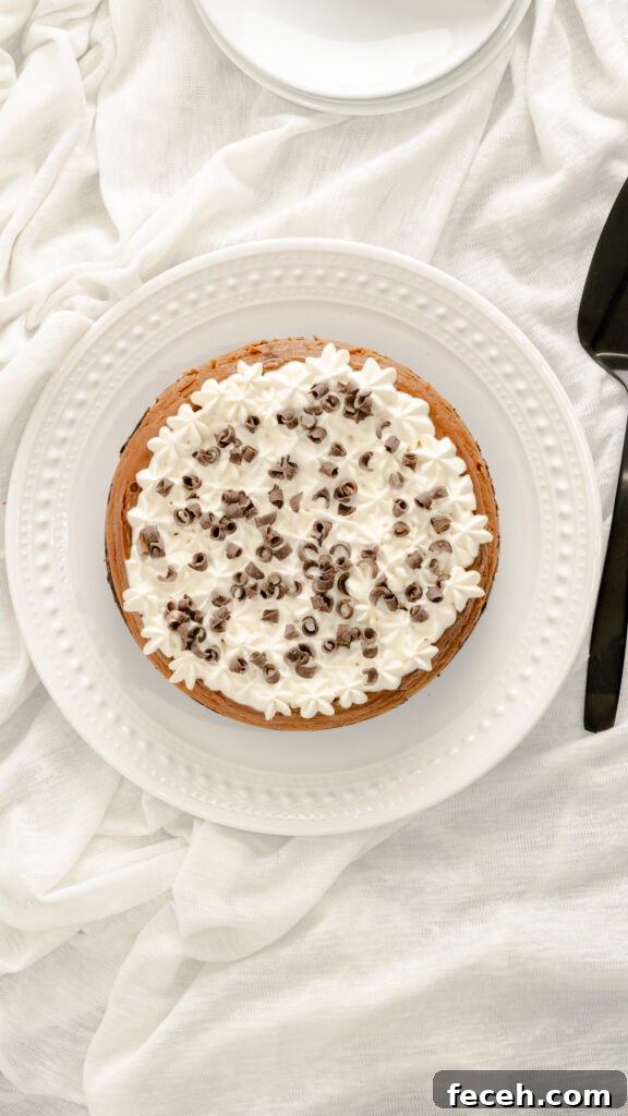 Top view of instant pot mudslide cheesecake with homemade whipped cream garnished with chocolate curls.