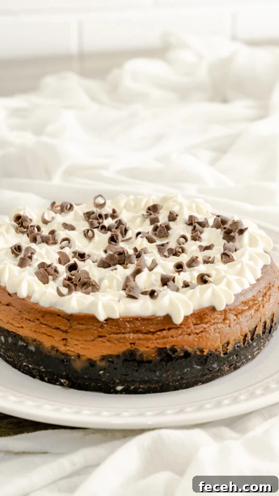 Instant Pot Cheesecake topped with whipped cream and chocolate curls.