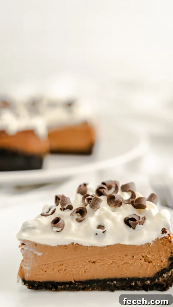 Slice mudslide cheesecake with a chocolate cookie layer and with a Irish cream chocolate filling.