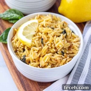 Ramekin filled with lemon parmesan orzo topped with a half lemon slice. There is fresh basil and lemon in the background.