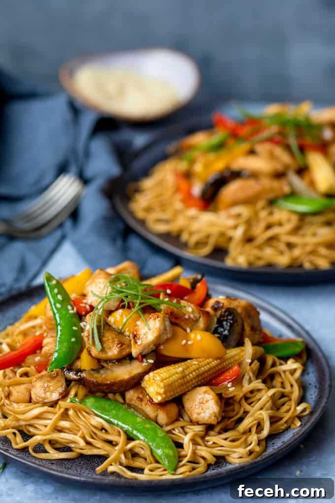 Close up of Plate of honey and soy chicken stir fry with noodles