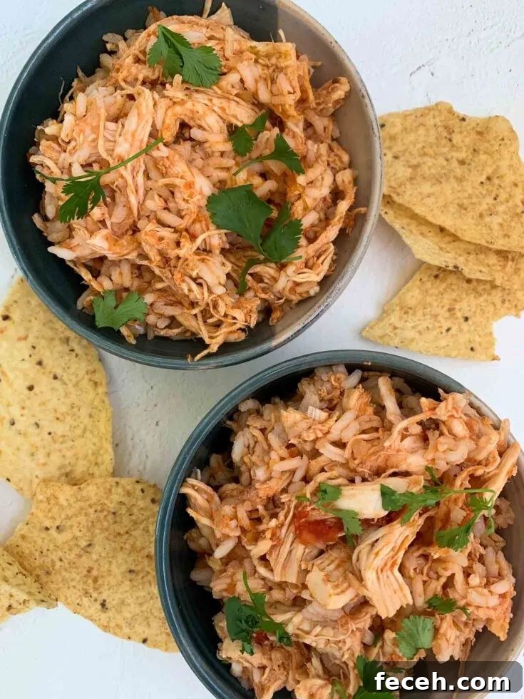 salsa chicken and rice