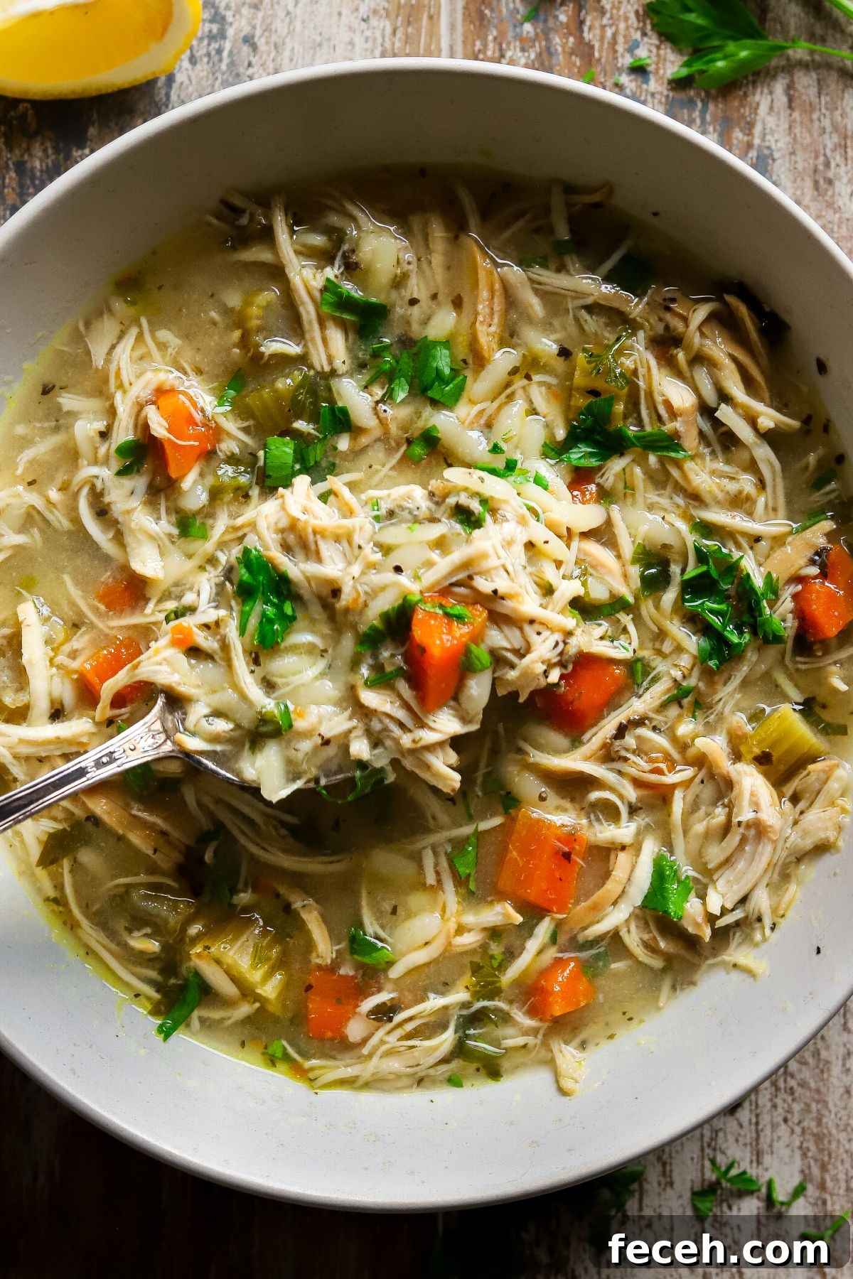 crockpot lemon chicken orzo soup