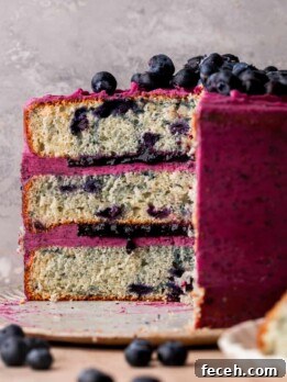 Blueberry cake on a platter opened up.
