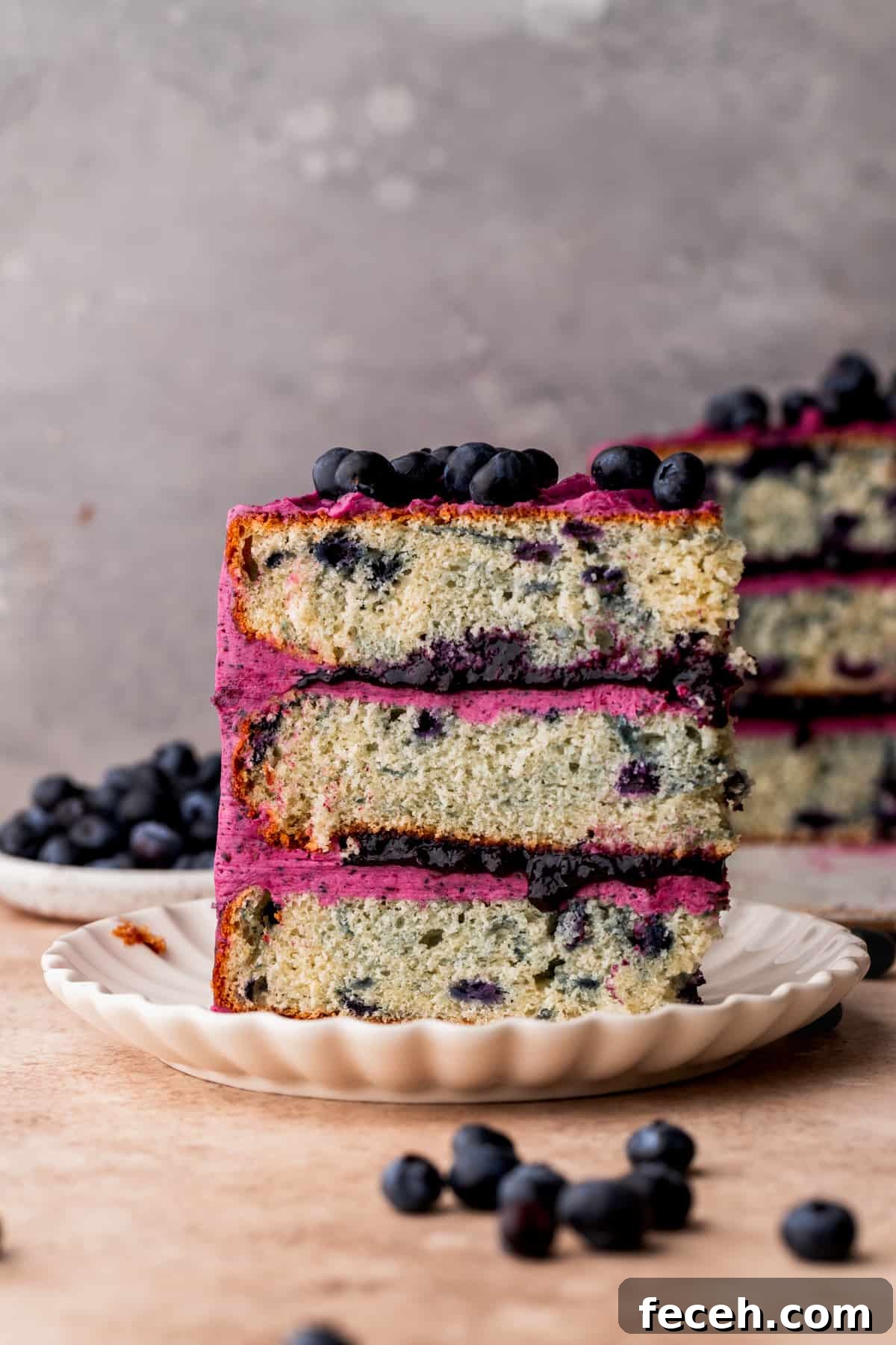 One slice of blueberry cake standing up on a plate.