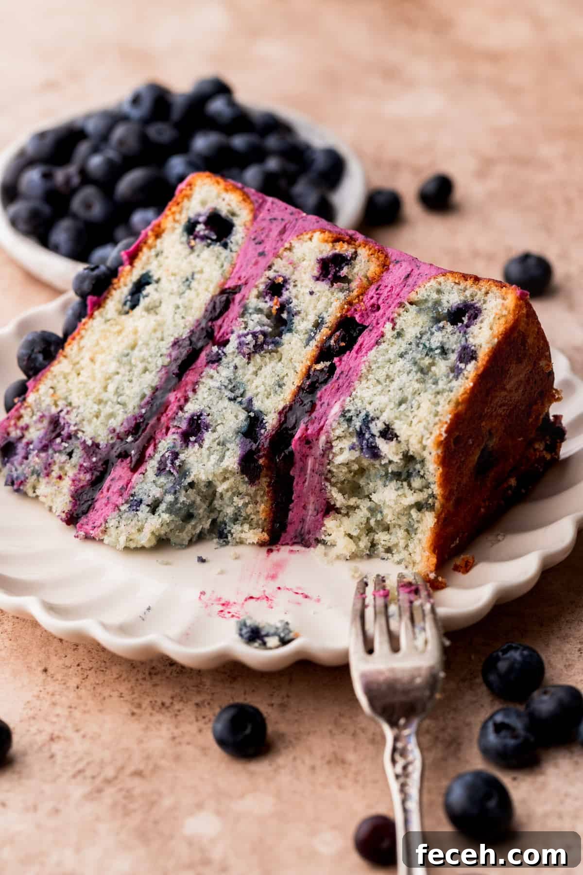 Bite missing from a piece of blueberry cake on a plate.