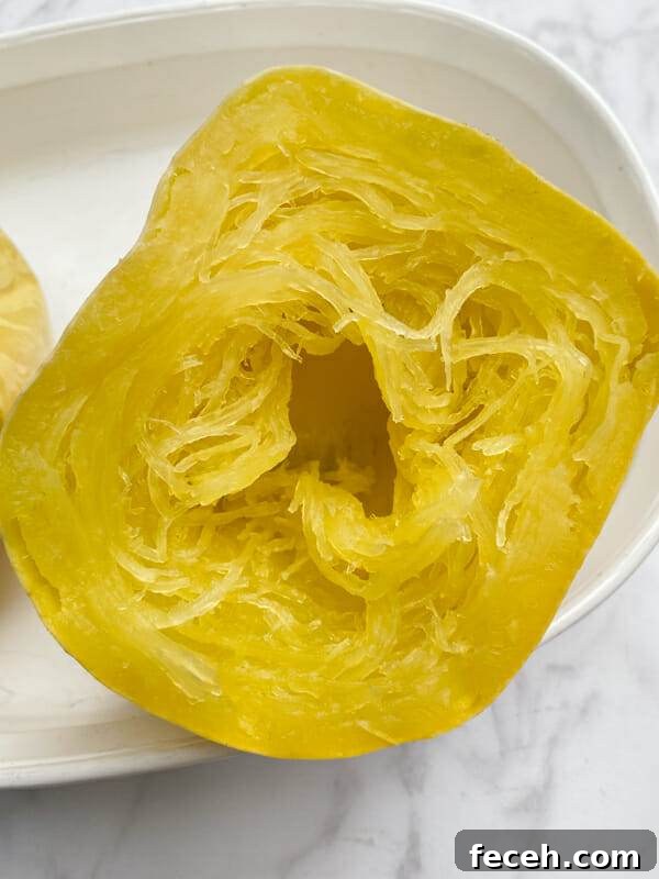 circular strands in spaghetti squash