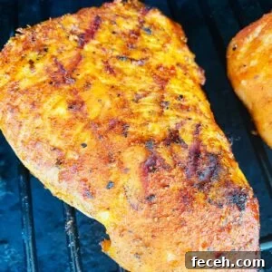 Traeger BBQ Turkey Tenderloins