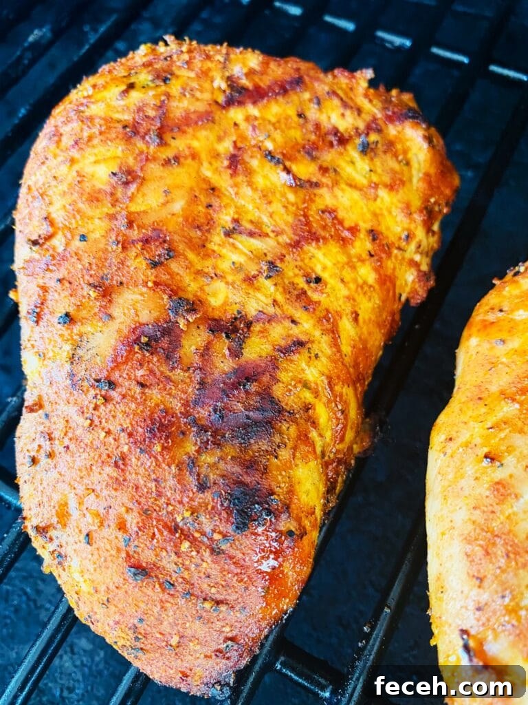 Traeger BBQ Turkey Tenderloins