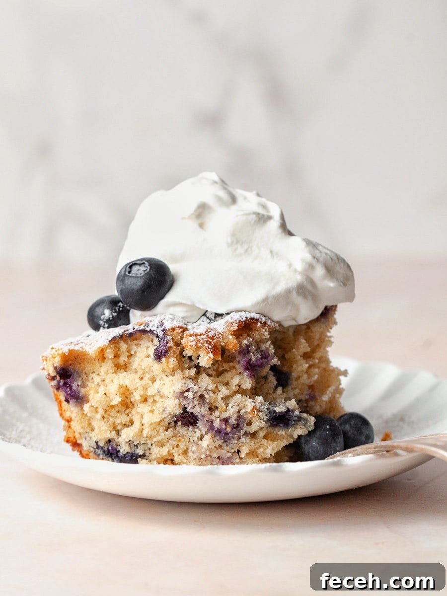a piece of blueberry skillet cake on a white plate topped with whipped cream and blueberries