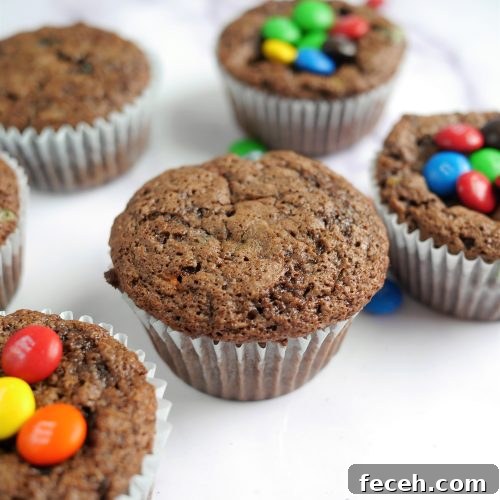 Fudgy Double Chocolate Zucchini Muffins Recipe 2 Double chocolate zucchini muffins